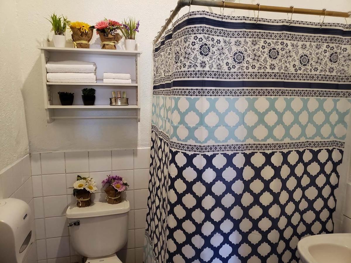 Parrot House Bed & Breakfast Antigua Luaran gambar